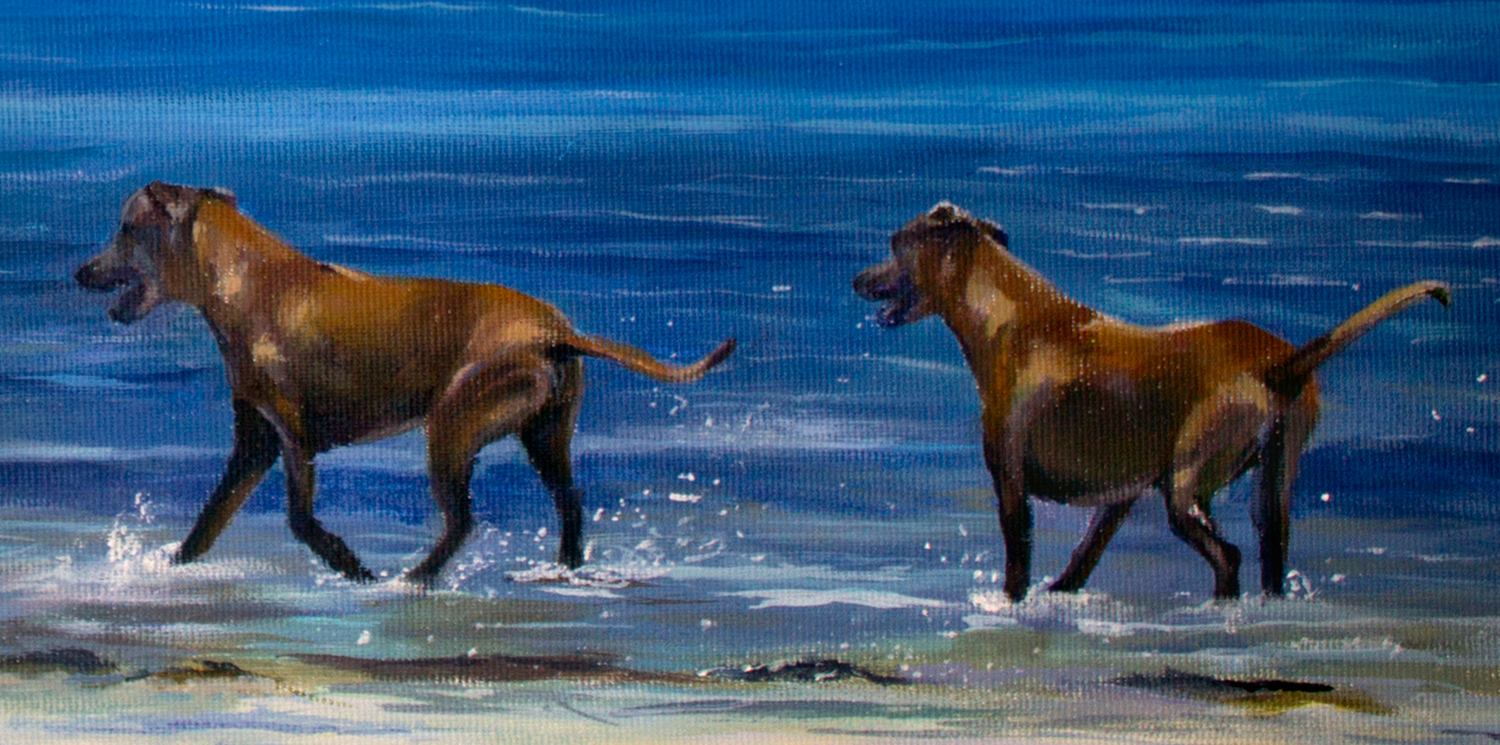 1400603_10151760133746806_1424288645_o copia